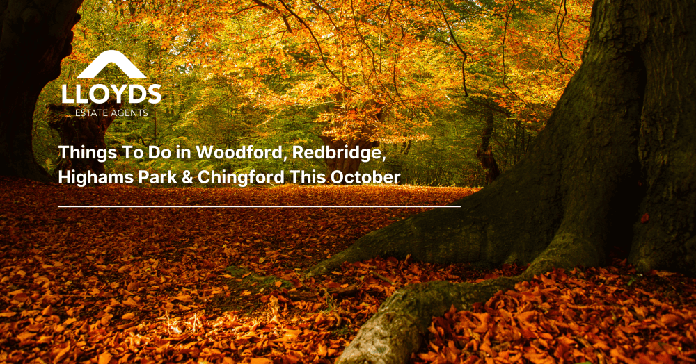 🍁 Things To Do in Woodford, Redbridge, Highams Park & Chingford This October 🍁 Things To Do in Woodford, Redbridge, Highams Park & Chingford This October