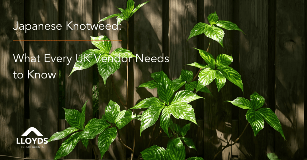 Japanese Knotweed: What Every UK Vendor Needs to Know Japanese Knotweed: What Every UK Vendor Needs to Know